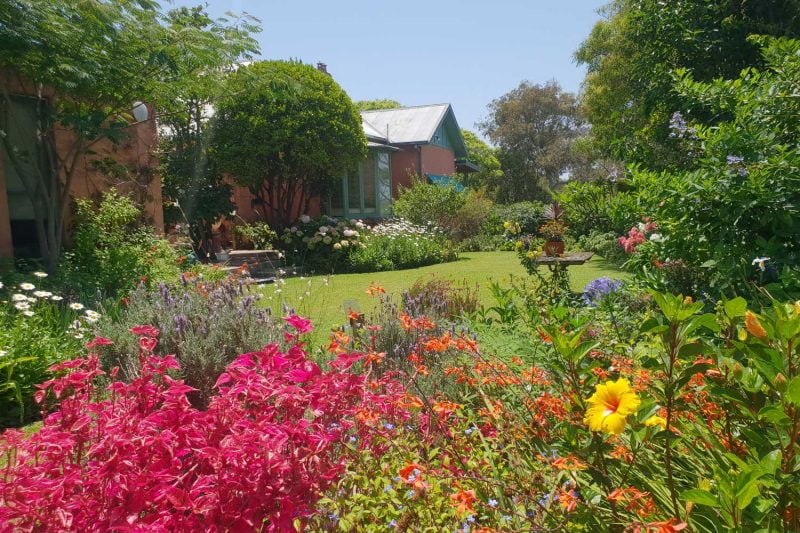 Harvesting memories Saying goodbye to John and Rosemary’s heirloom