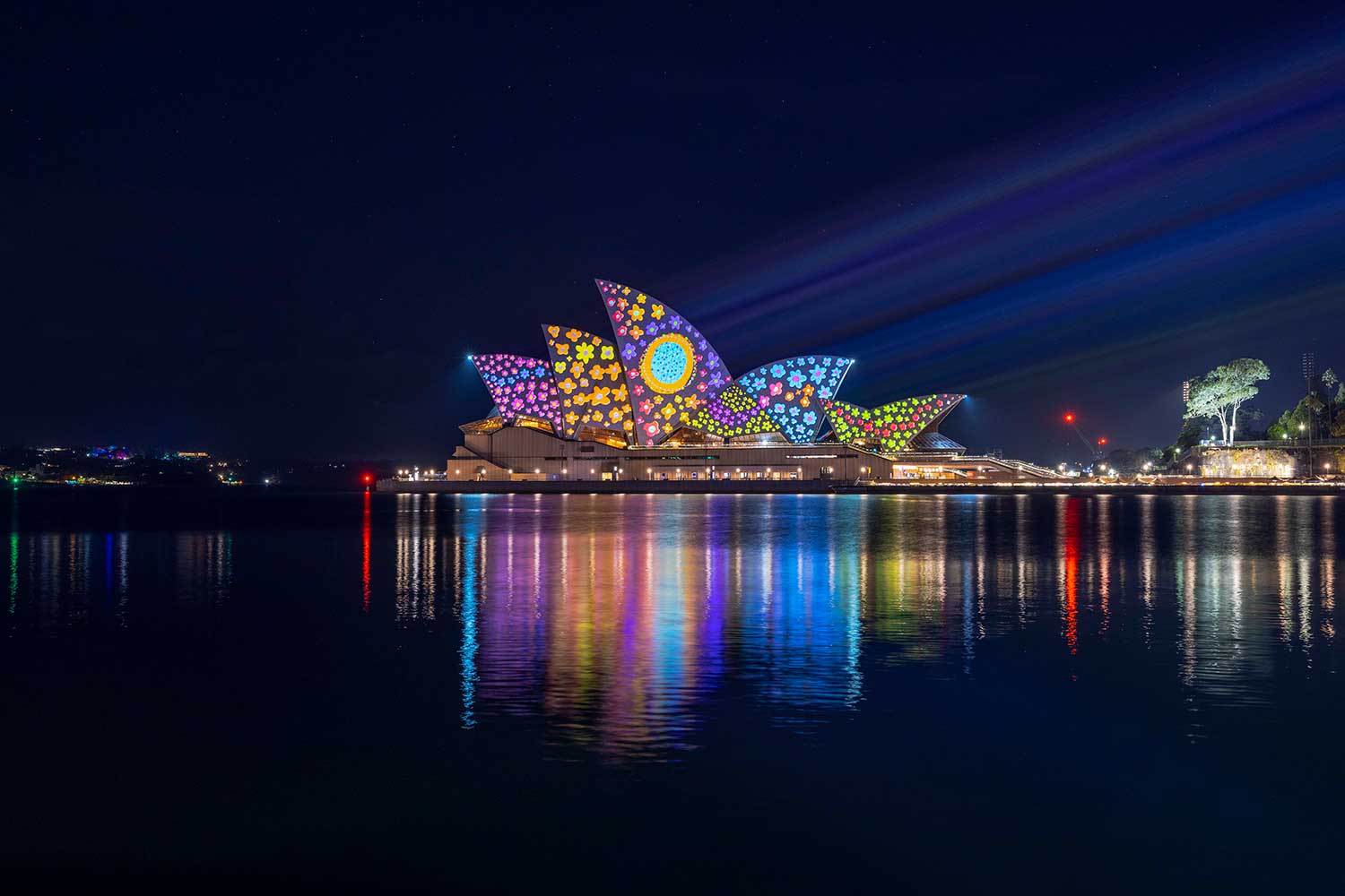 2023 Sydney Vivid Festival Of Lights And Beyond Women In Photography ...