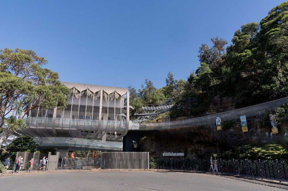 Zoo-2