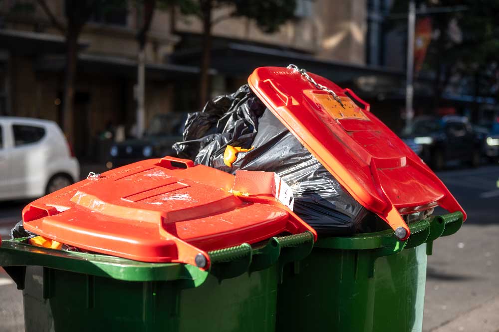 Bin-1