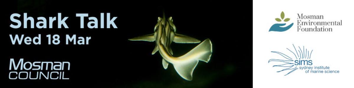 Shark Talk – 1