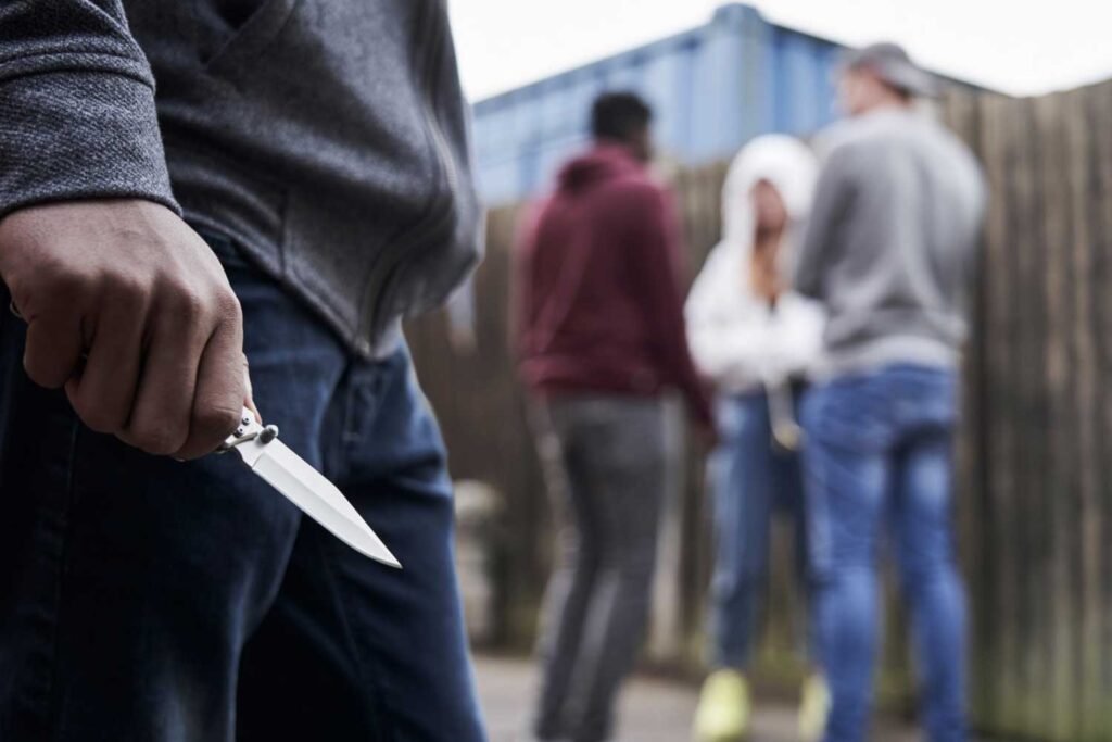 A Neutral Bay boy has been charged with Robbery in company following an elleged incident at Roseville station.