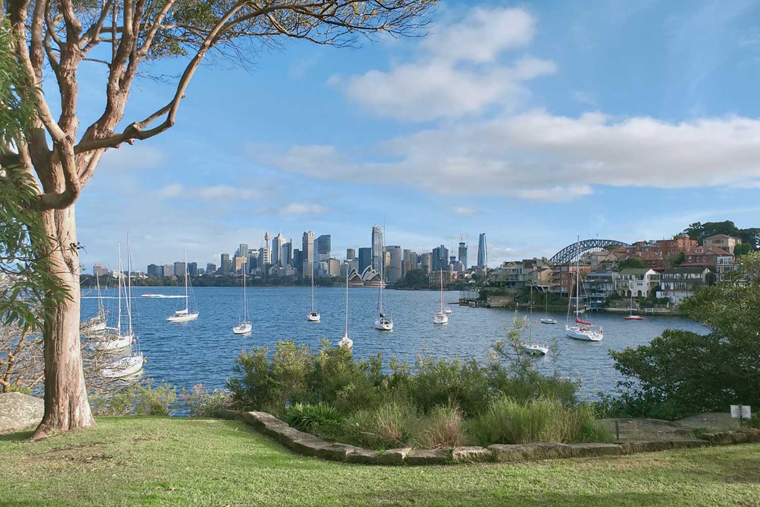 Dog-walkers,-fitness-trainers-and-party-planners-are-set-to-be-charged-to-use-North-Sydney-LGA-parks Dog walkers, fitness trainers and party planners are set to be charged to use North Sydney LGA parks.