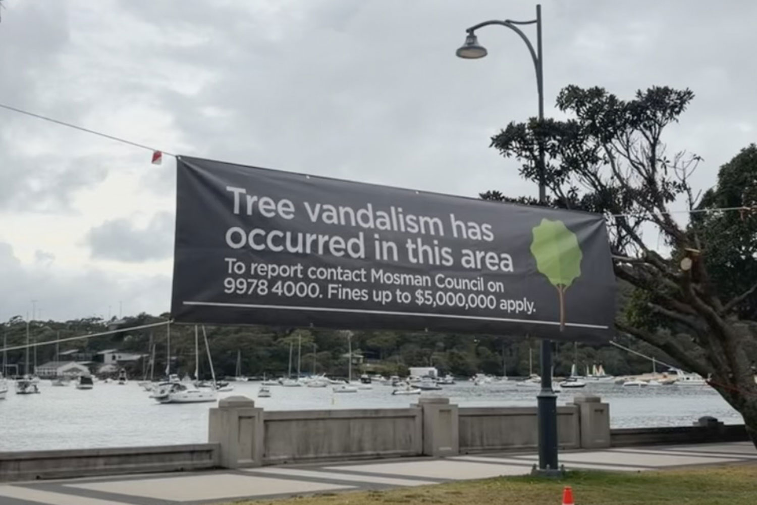 Mosman Council is employing a full time "tree cop" to investigate incidents of tree vandalism in the LGA.