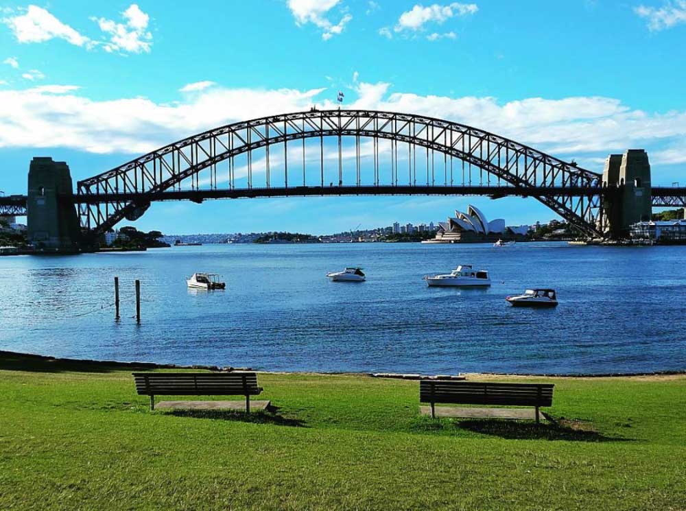 dog-1 North Sydney Council said it spends approximately $7.3 million a year on local park maintenance.