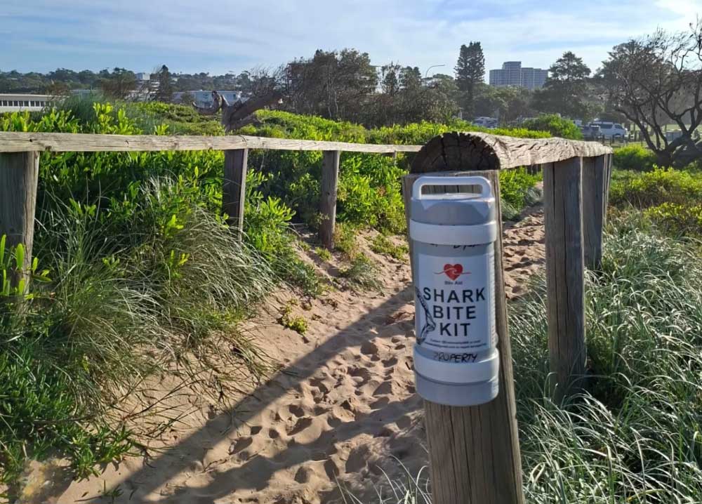 Shark-1 Mosman's harbour beaches have no surf clubs. That leaves Balmoral, Edwards Beach, Chinamans Beach and Clifton Gardens vulnerable in the event of a shark attack.