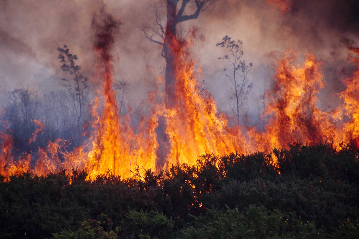 Out of control bush fire