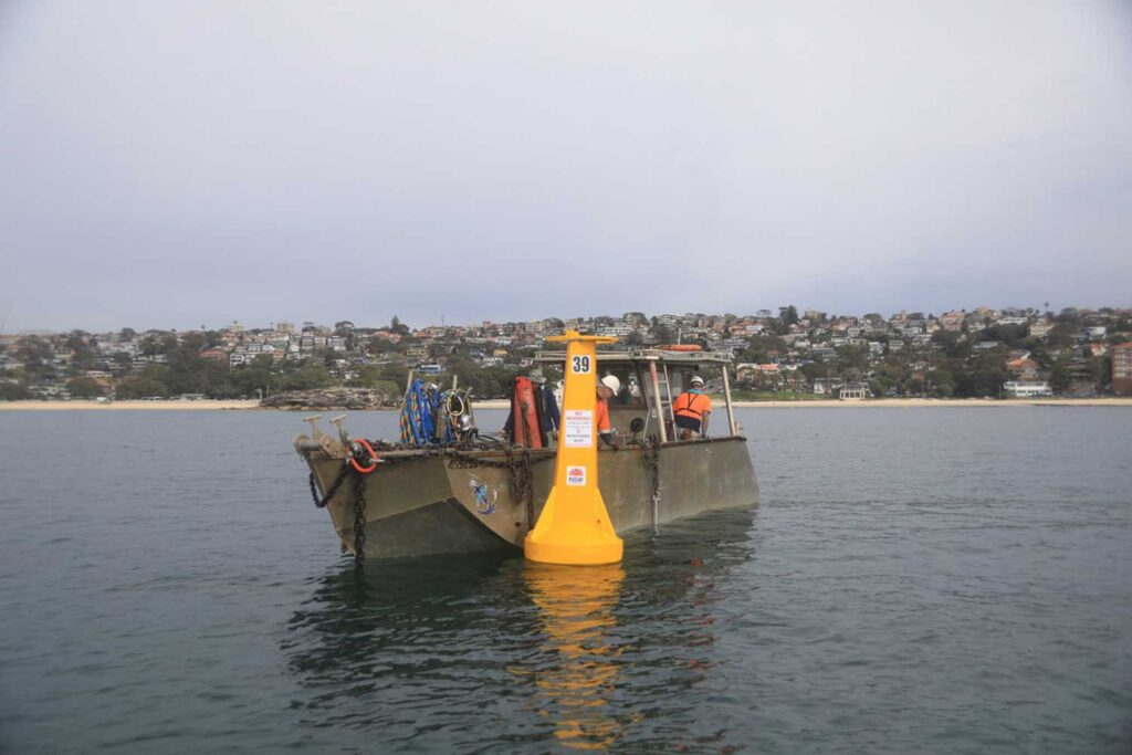 Shark listening device being set up at Balmoral Beach