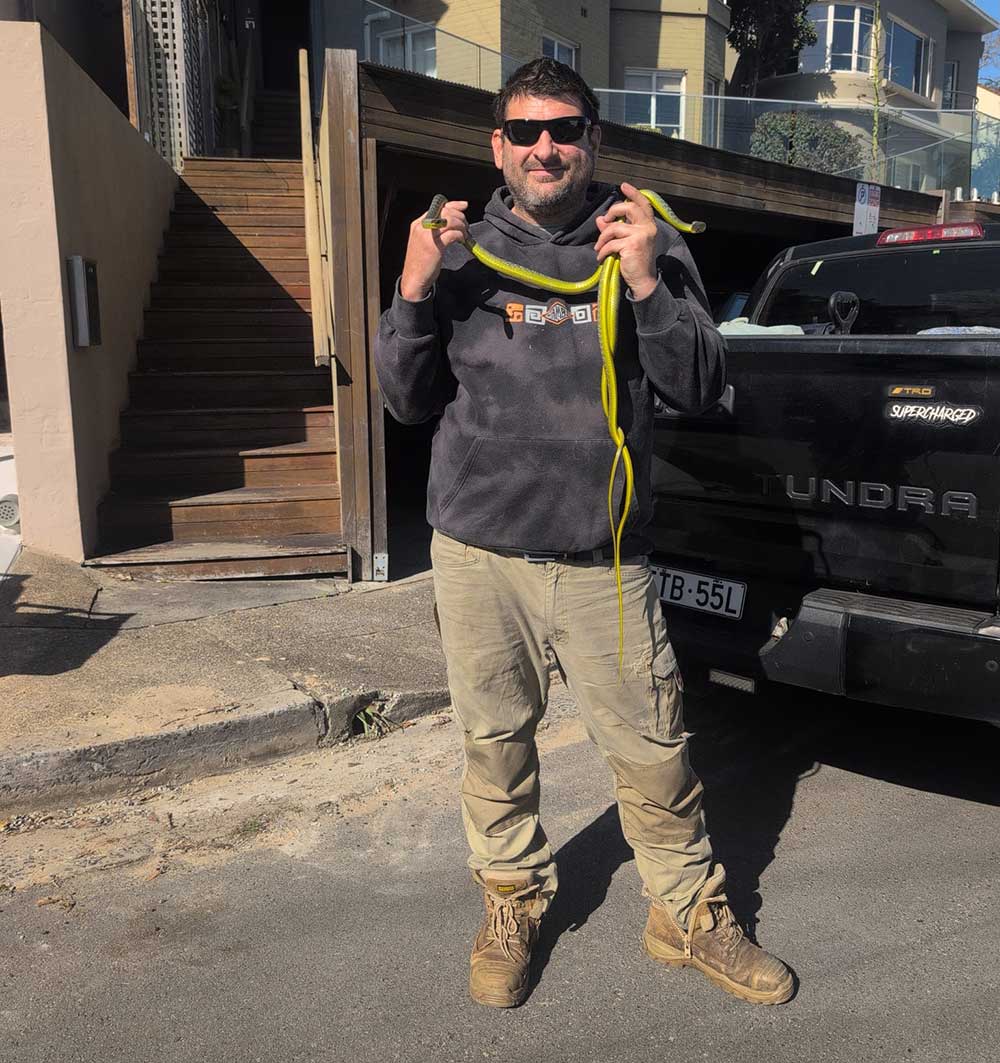 Snake catcher Harley Jones with pythons around his neck Snake catcher Harley Jones with pythons around his neck