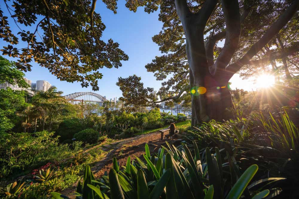 view from mosman park to sydney harbour bridge
