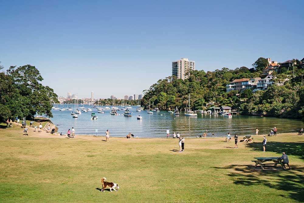 Sirius Cove on a sunny day